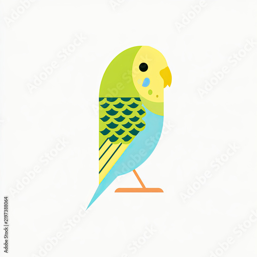 cute colorful budgerigar bird flat vector illustration