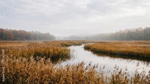 A serene landscape features a wide, meandering river flowing through a marshy wetland. Tall, golden reeds dominate the foreground, creating a textured, earthy expanse.