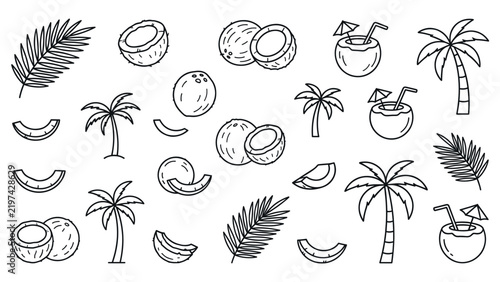 Tropical coconut elements set featuring palm trees and drink icons.