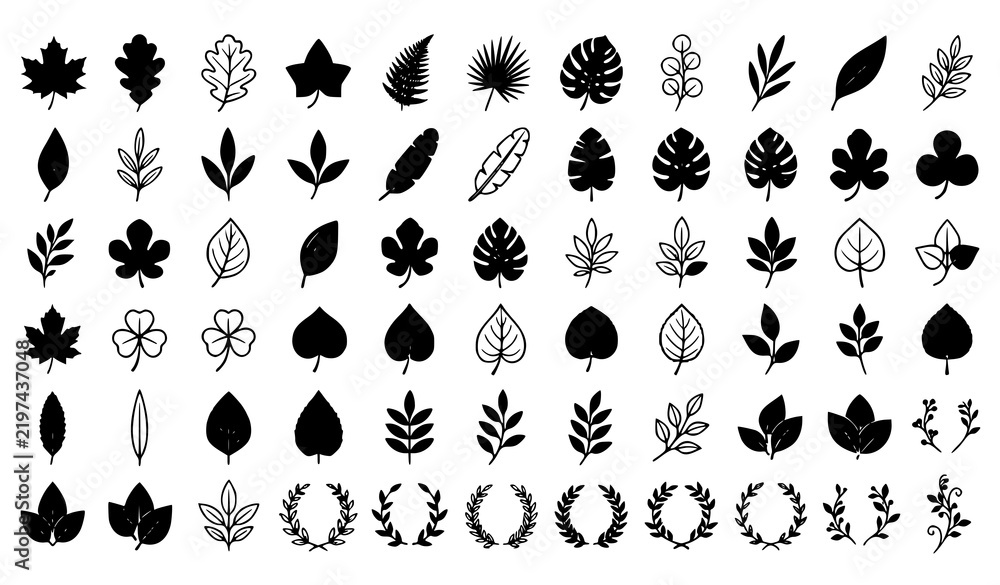 Obraz premium Tropical and Autumn Leaf Silhouette Set with Monstera Maple Fern Laurel Wreaths and Botanical Foliage Elements for Corporate Logos Wedding Stationery and Eco Branding