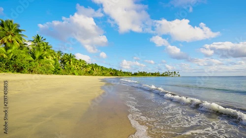 A walk along a wild, palm-lined Bahamian beach with soft sand and warm ocean waters. Gentle waves lapping at golden sand. A summer tropical day. Paradise on earth. Travel and seaside relaxation.