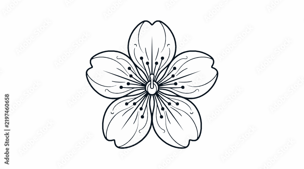 Obraz premium A detailed black and white line art illustration of a five petaled cherry blossom flower with against plain background