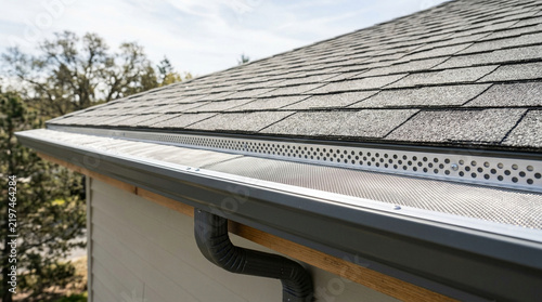 Clean rain gutter leaf guard installed on a facility roof edge