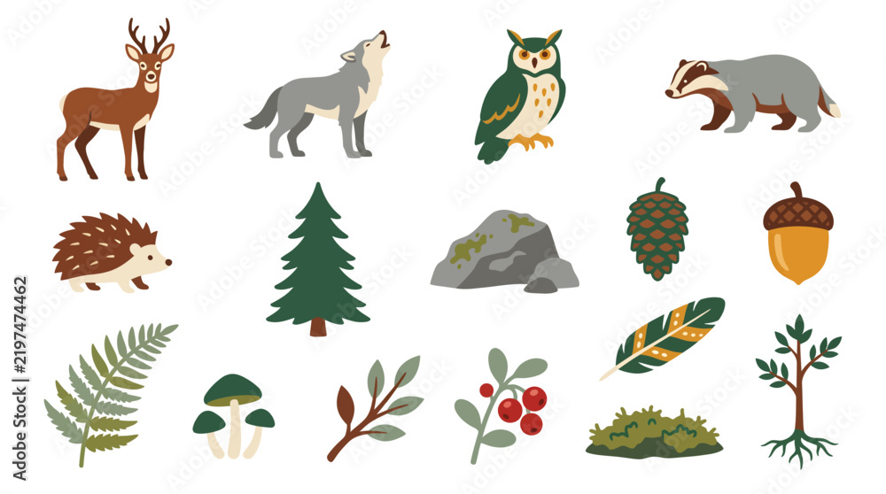 Obraz premium Set of hand drawn forest animals and plants elements.