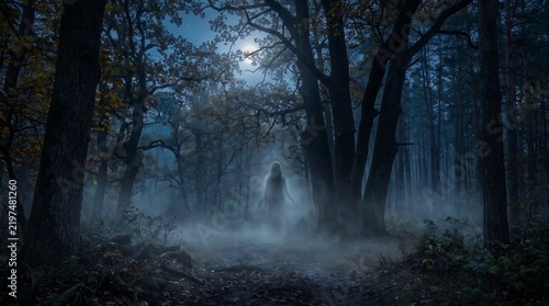 Silhouette of a ghostly figure in a misty forest during twilight with natural light