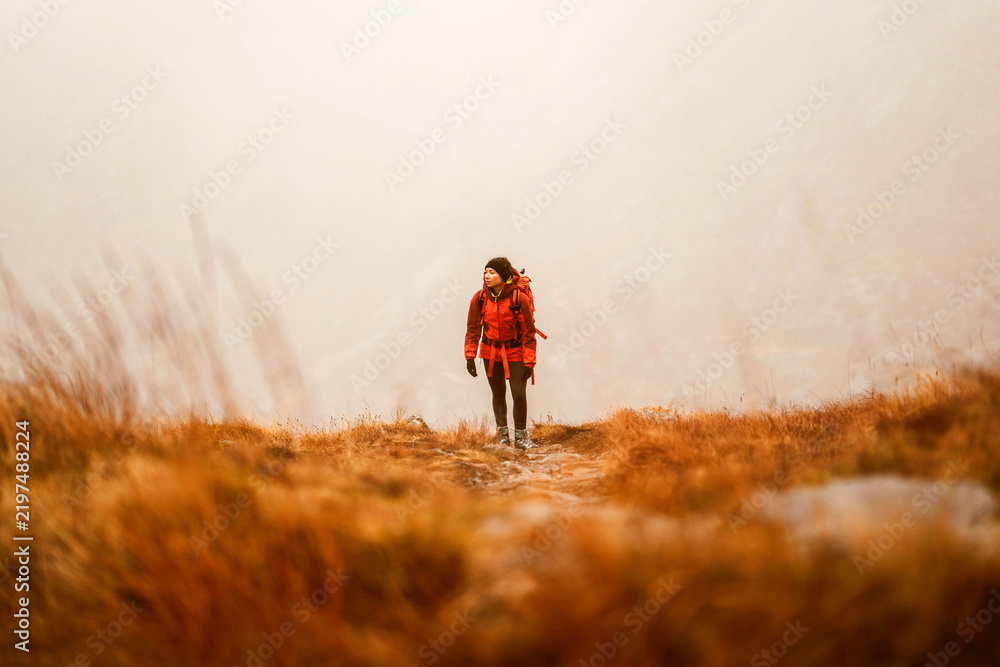 Fototapeta premium Hiker in misty autumn landscape, vibrant orange hues