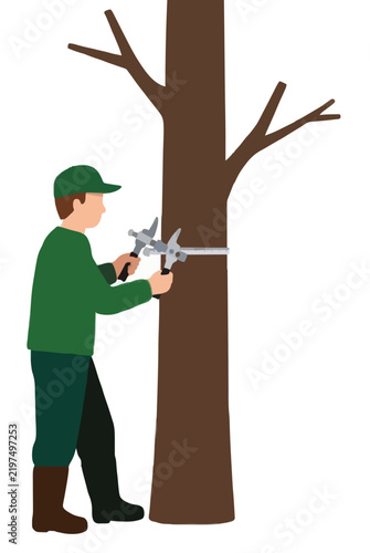 Forester in Green Uniform Measuring Tree Trunk Diameter with Precision Calipers - Professional Vector Icon Illustration for Forestry Conservation and Environmental Management