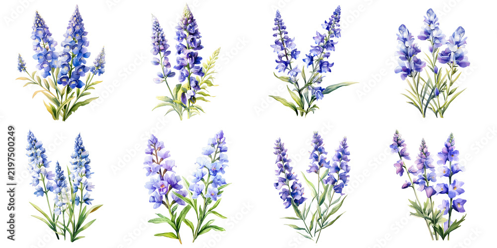 Fototapeta premium Collection of watercolor lupine flower illustrations isolated on a black background for design purposes