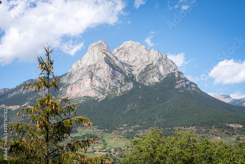 Rocky mountain peak rising above a green pine forest under a blue sky