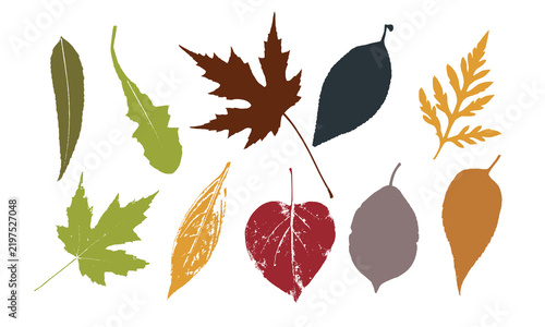Set of colorful autumn leaves and textured plant prints on a white background