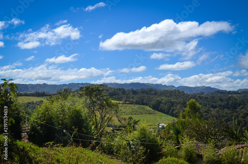 Bild auf Leinwand Landscape with clouds of the Honduran Mountains
