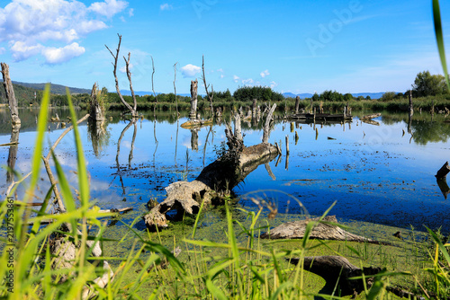 Wetlands as a beautiful natural landscapes worthy of nature conservation