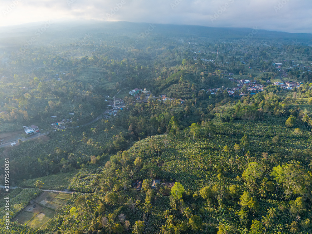 Obraz premium Lush green hills stretch under soft morning light. Villages dot the landscape, nestled among trees at Pronojiwo, Lumajang