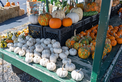 Pumpkins of various colors line a green cart