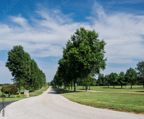 Asphalt road stretches straight into the distance. Tall green trees stand along the path