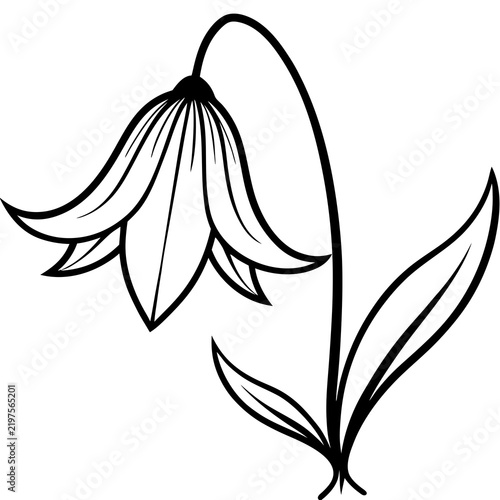 Minimal Bluebell Vector on White