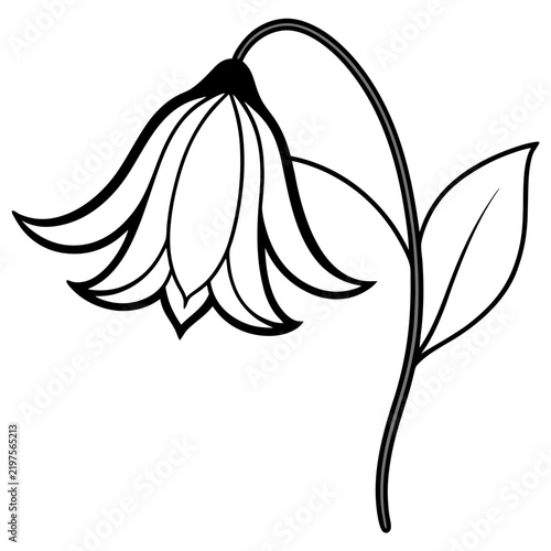 Minimal Bluebell Vector on White