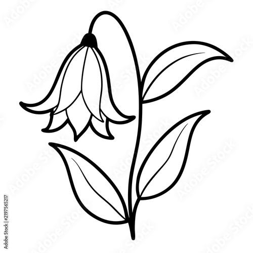 Minimal Bluebell Vector on White