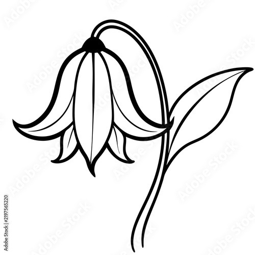 Minimal Bluebell Vector on White