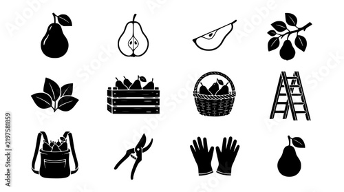 Pear Harvest Elements Collection with Orchard Tools and Fruit Silhouettes