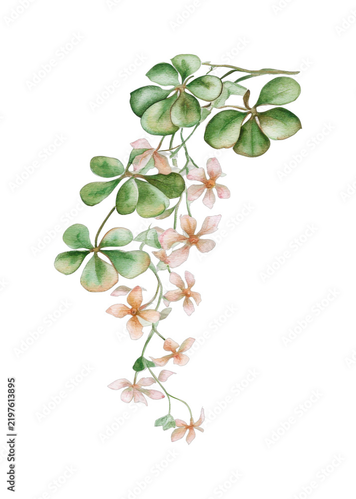 Obraz premium PNG Elegant watercolor floral vine illustration.