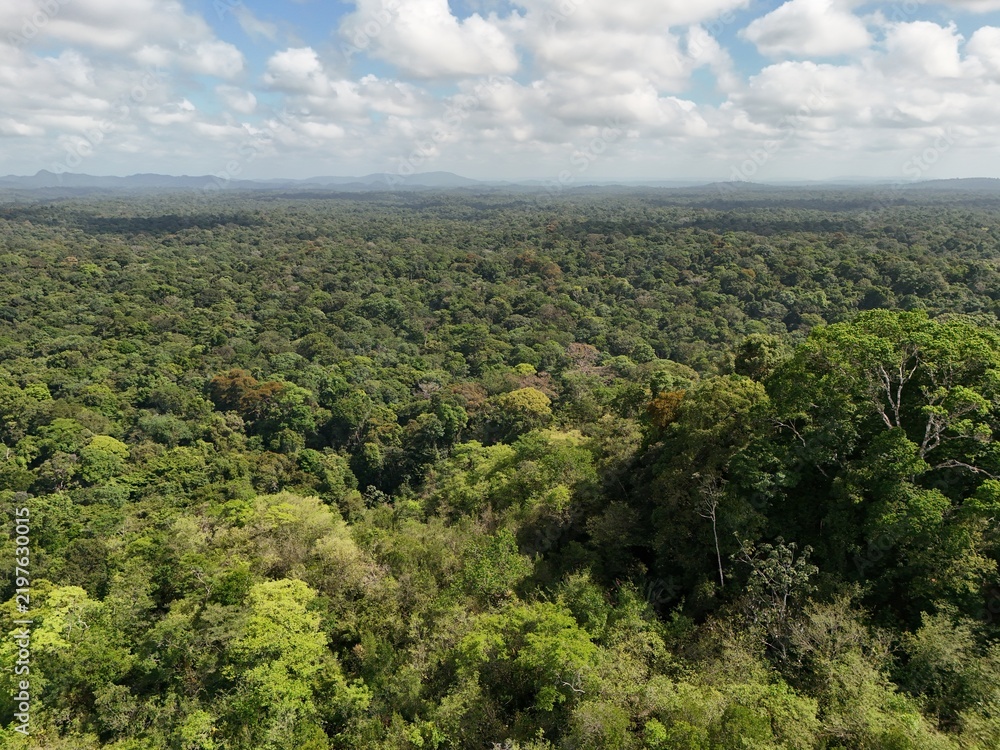 Fototapeta premium Aerial view of dense tropical rainforest stretching toward distant hills under a partly cloudy sky in French Guiana, South America.