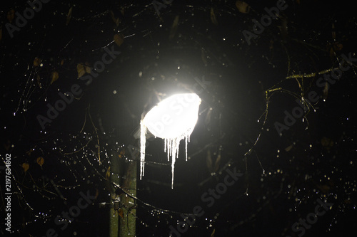 A brightly lit street lamp at night. Icy tree branches and shimmering snowflakes are visible around. A snowstorm, blizzard, and winter chill. A cold atmosphere.