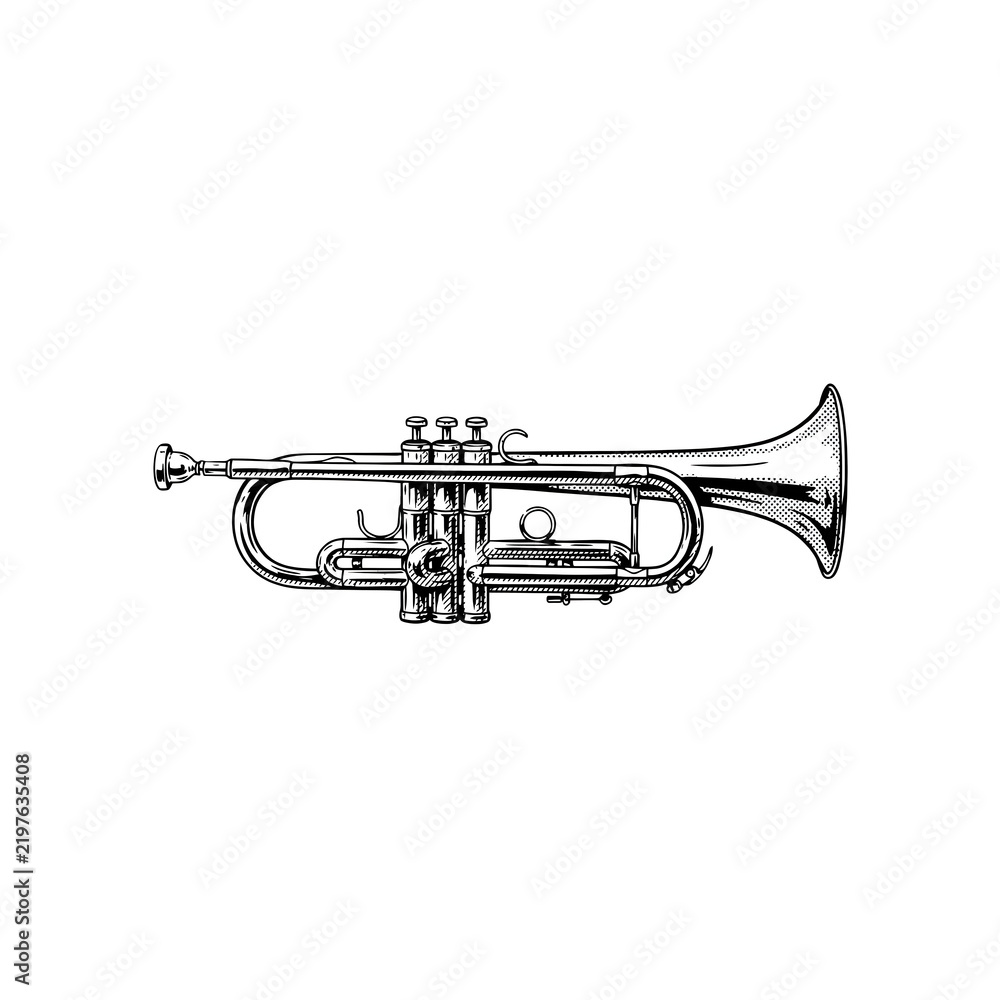 Fototapeta premium Detailed silver brass trumpet musical instrument for jazz band or orchestral performance.