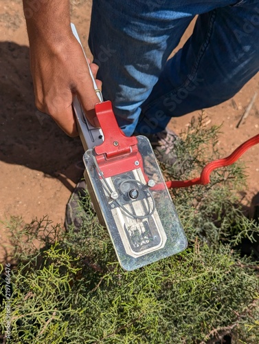 Fotografía photosynthesis measuring using IRGA (Infrared Gas Analyser) 1