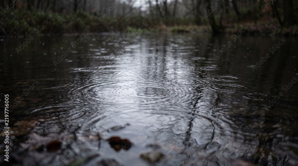 Obraz premium Raindrops falling on a woodland pond create circular ripples in the water
