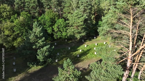 Aerial Torun Poland Soviet soldiers cemetery forest climb 2. Stalag XXI-C was a German Army World War II prisoner of war camp. Memorial is mass graves of over 14,000 prisoners executed. Historical.