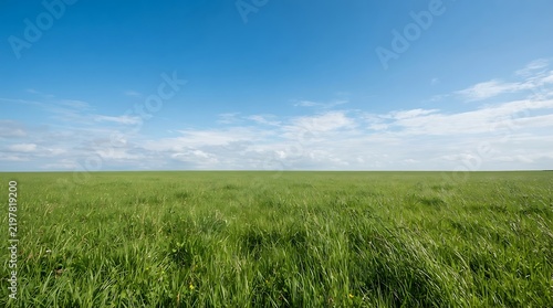 Bright blue sky with white clouds over a vast green grass field in a serene countryside landscape
