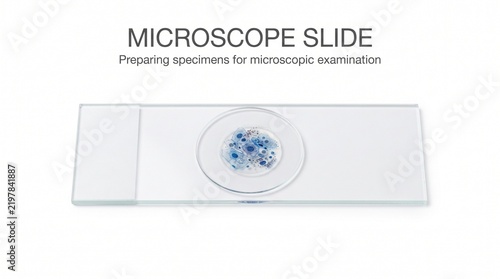 Glass Microscope Slide With A Biological Sample Specimen Isolated On A Clean White Background