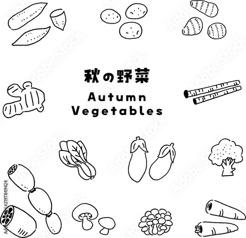 秋の野菜の線画ベクターイラストセット。