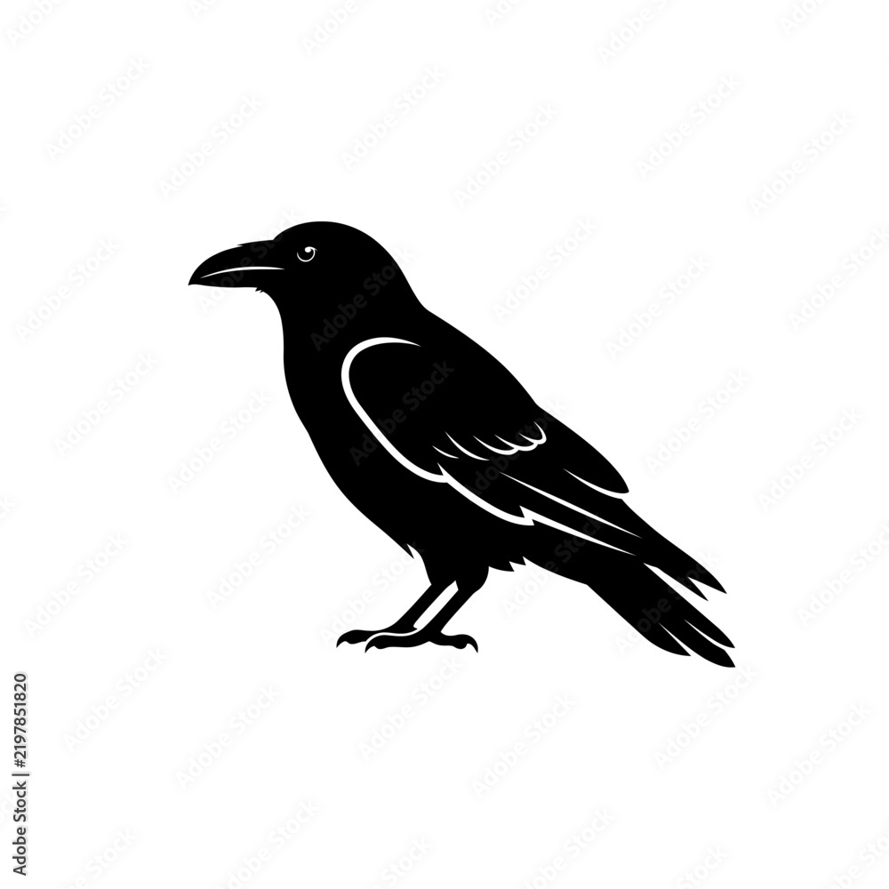 Fototapeta premium Mystical black crow vector illustration, detailed dark raven character, gothic bird silhouette and crow profile icon for occult design isolated on White Background halloween silhouette