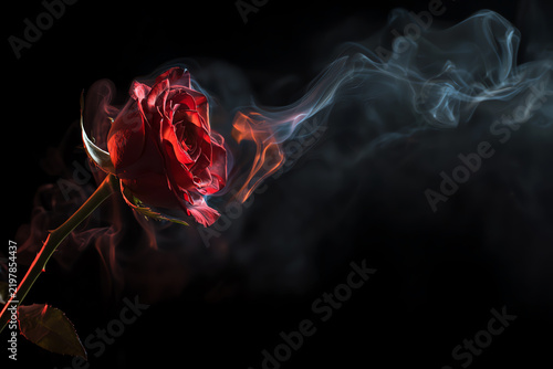 A Rose Dissipating into Smoke: A vibrant red rose, its petals beginning to wither, is enveloped by wisps of ethereal smoke, creating a hauntingly beautiful depiction of fleeting beauty and decay.