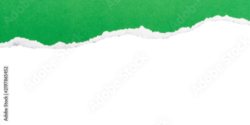 Ascending green torn paper edge on transparent background