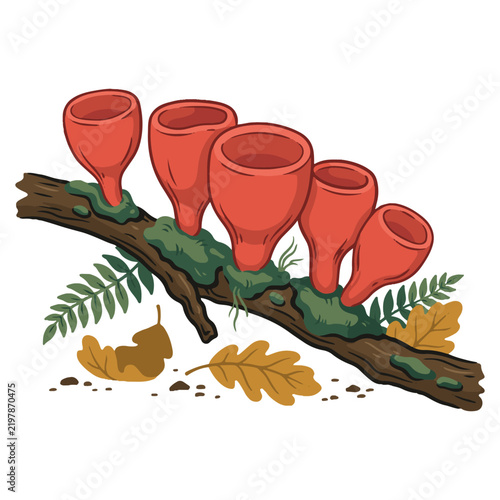 Mushroom Botanical Clipart