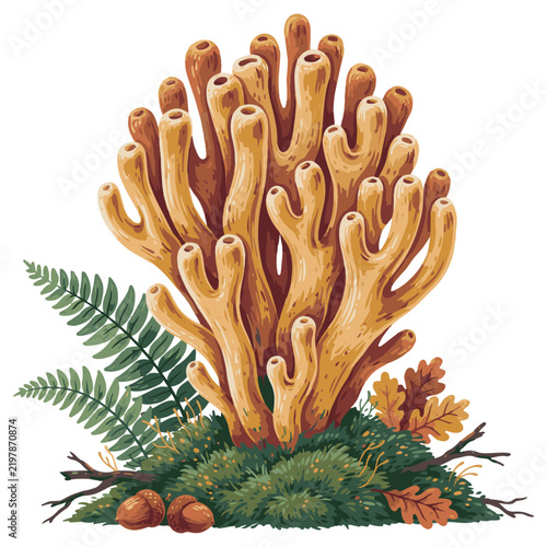 Mushroom Botanical Clipart