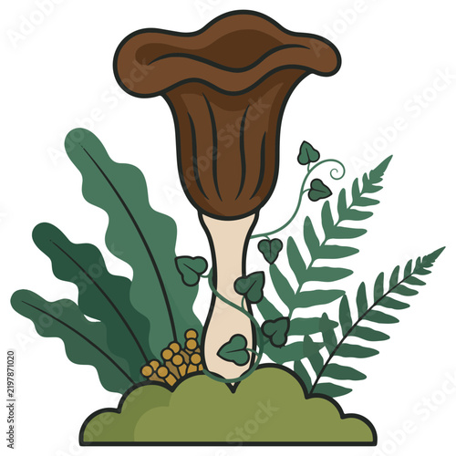 Mushroom Botanical Clipart