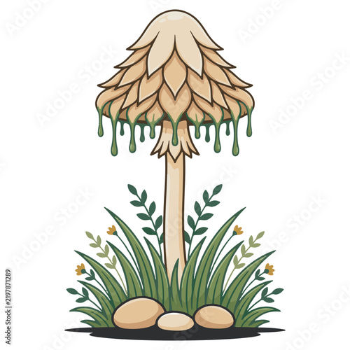 Shaggy Mushroom Clipart