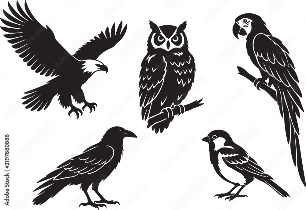Fototapeta premium Birds black silhouette vector set isolated on white background