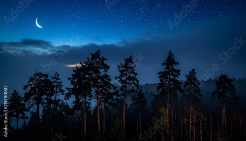 Silhouettes of pine trees against a starry night sky with a crescent moon