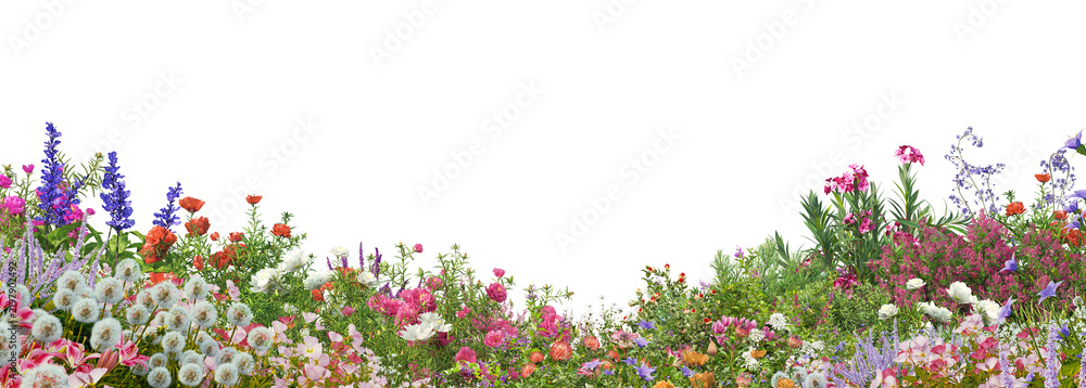 Obraz premium foreground flower gardens and meadows on a transparent background.