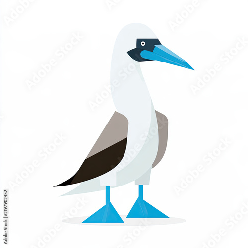 blue footed booby seabird with bright blue feet on a white background