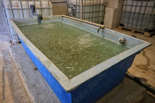 Water flowing into a blue aquaculture fish tank inside a greenhouse