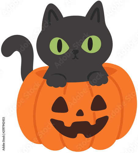 halloween pumpkin with cat