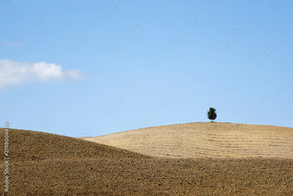 Obraz premium Val d'Orcia landscape