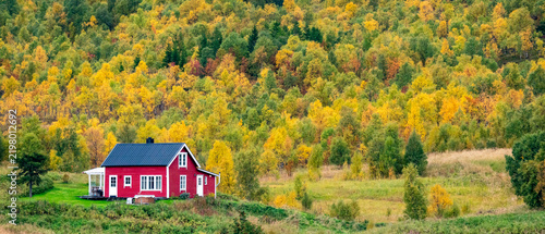 Traditional red wooden house surrounded by colorful autumn forest in scandinavia with copy space