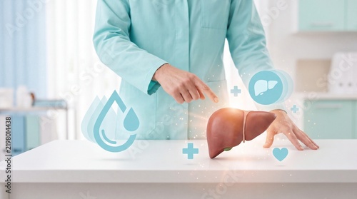 Doctor pointing at a human liver model with medical icons on a desk in clinic with toward anatomical